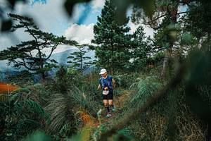 BIB: 
                            <button type="button" onclick="openModal(25258294)" class="btn btn-primary btn-sm float-right btn-popup" data-toggle="modal" data-target=".modal-high-quality">
                        <i class="fas fa-shopping-cart"></i> Add to Cart
                    </button>
                                            <button type="button" onclick="isThisMe(25258294, true)" class="btn btn-success btn-sm float-right btn-popup btn-isme hidden" data-toggle="tooltip" data-placement="bottom" title="นี่คือรูปของคุณใช่ไหม คลิกที่นี่เพื่อเอาเข้าอัลบั้ม">
                        <i class="fas fa-plus"></i> Add to album
                    </button>
                    <button type="button" onclick="isThisMe(25258294, false)" class="btn btn-warning btn-sm float-right btn-popup btn-isnotme hidden">
                        <i class="fas fa-ban"></i> Remove from album
                    </button>